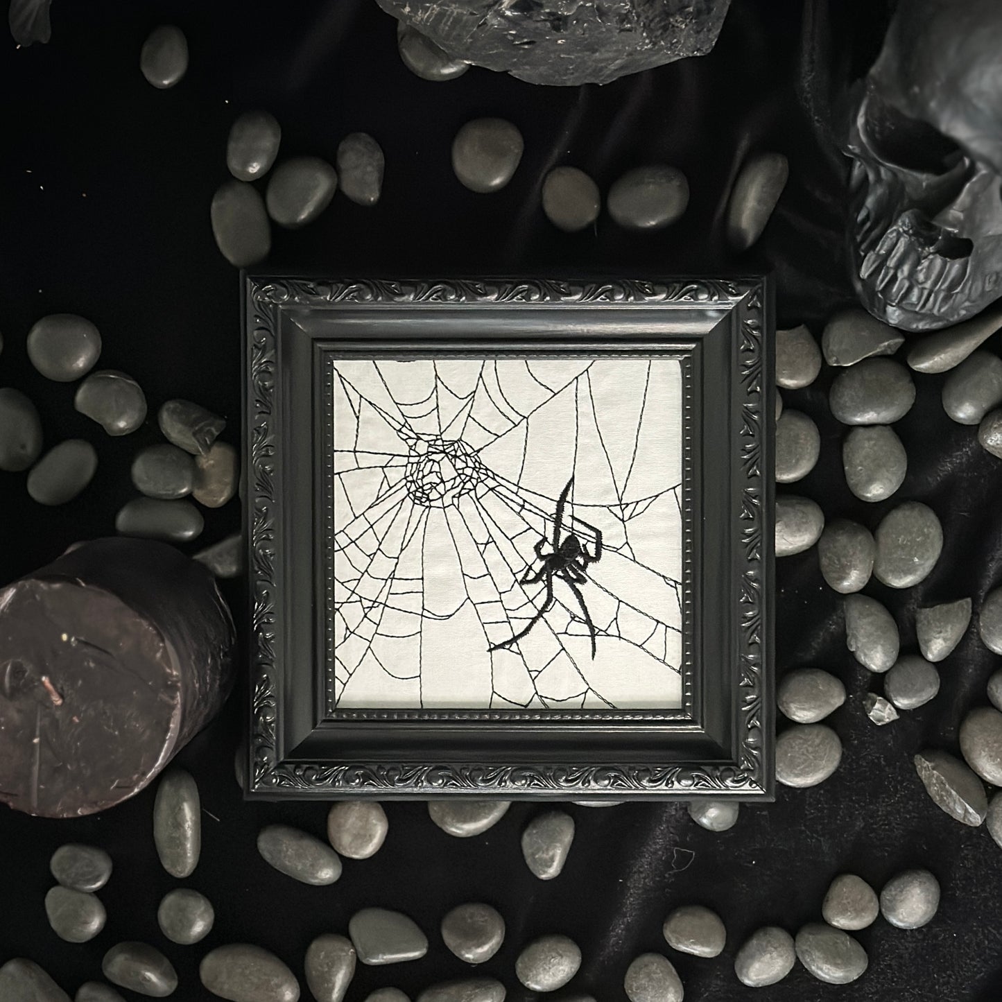 Spider in Web | Decorative Frame