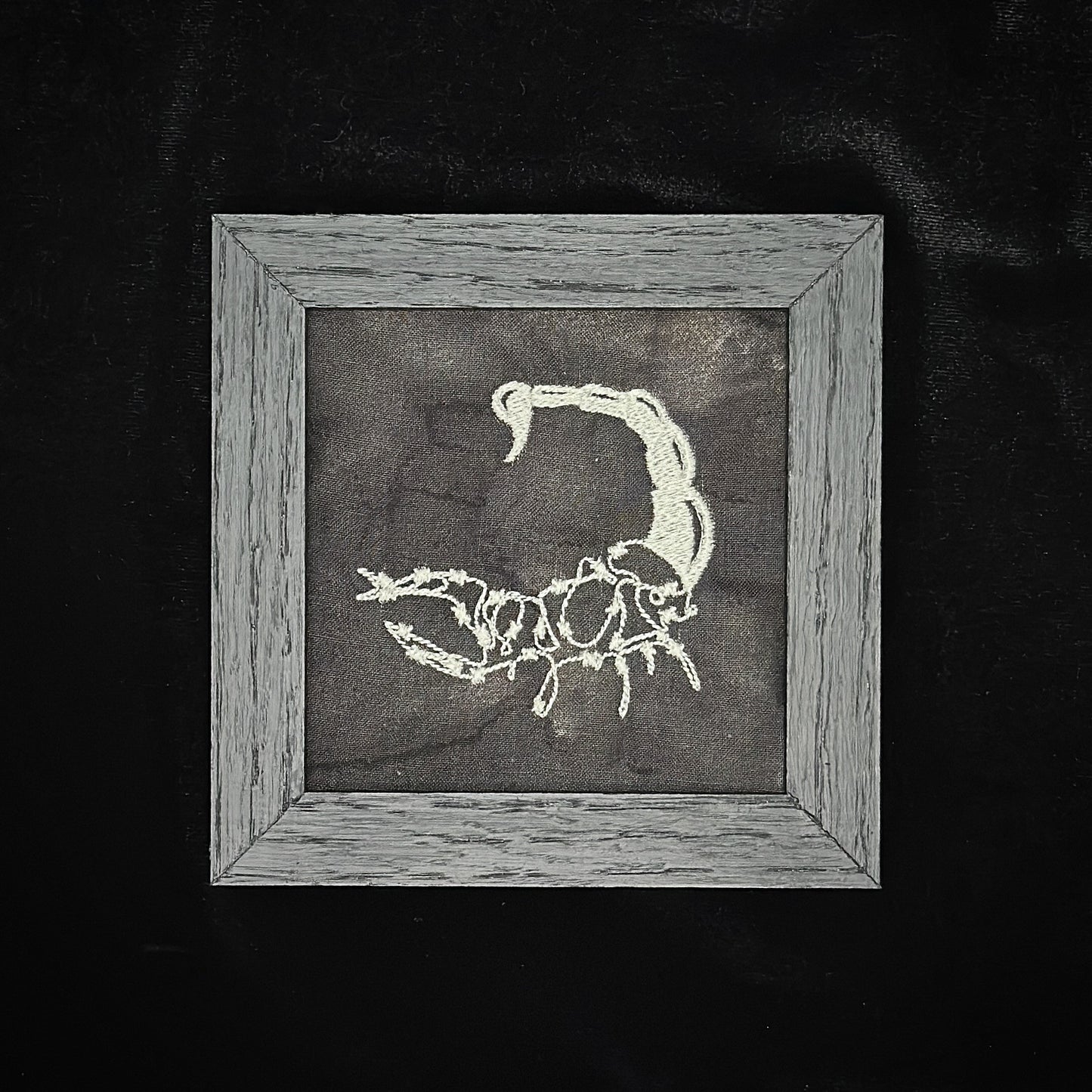 Barbed Wire Scorpion | 4x4in