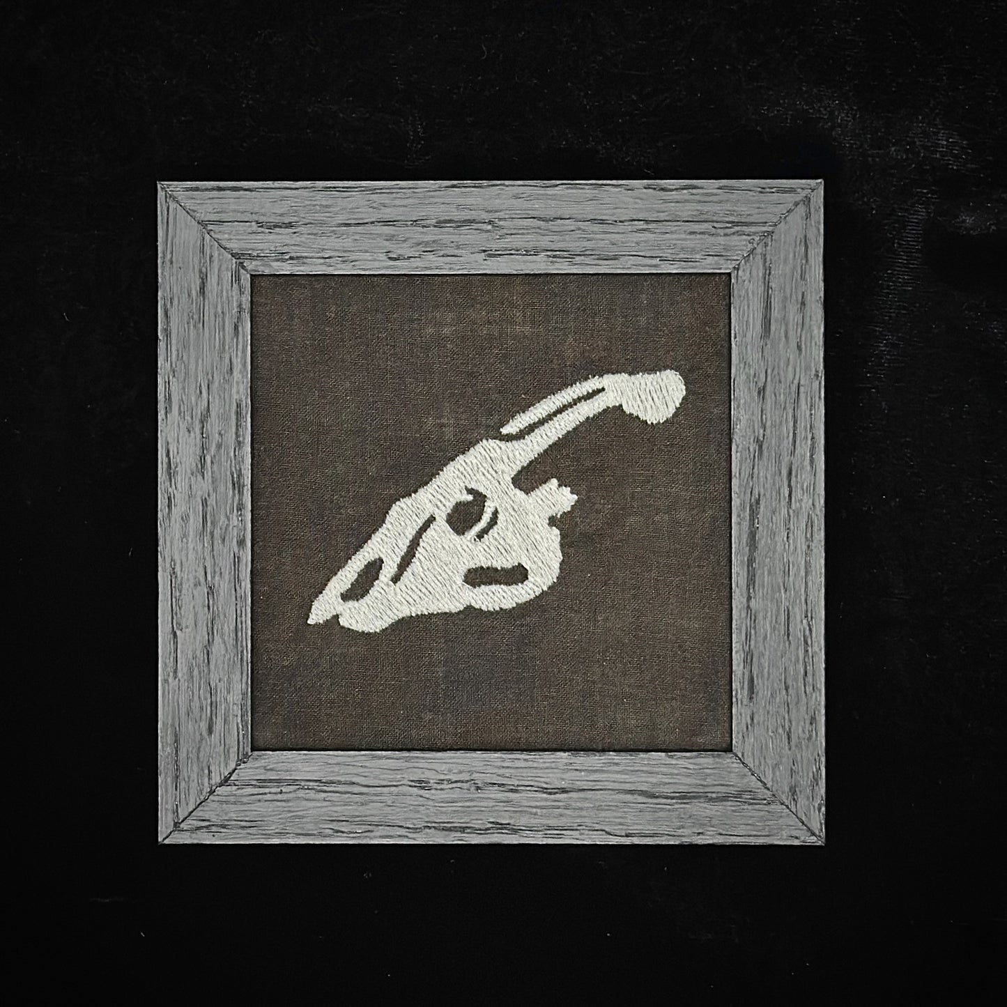 Parasaurus Skull | 4x4in