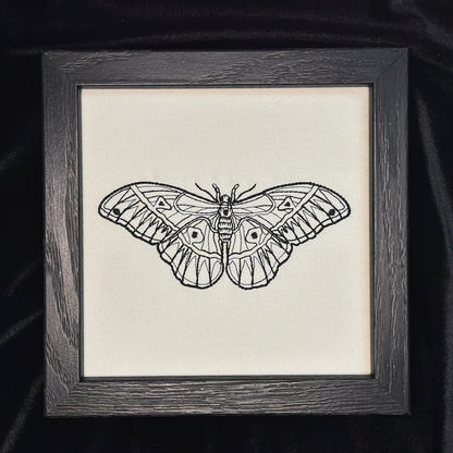 Detailed Moth | 6x6in