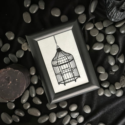 Bird Cage | Decorative Frame 2