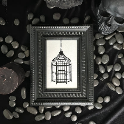 Bird Cage | Decorative Frame