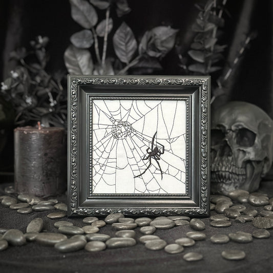 Spider in Web | Decorative Frame