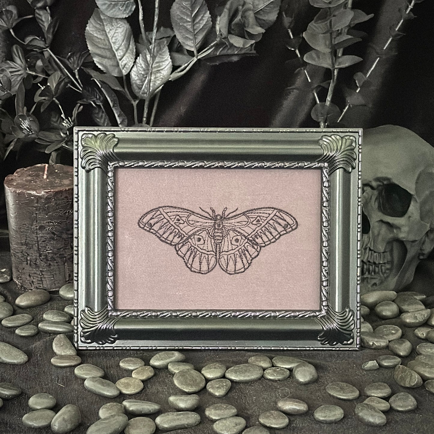 Detailed Moth | Decorative Frame