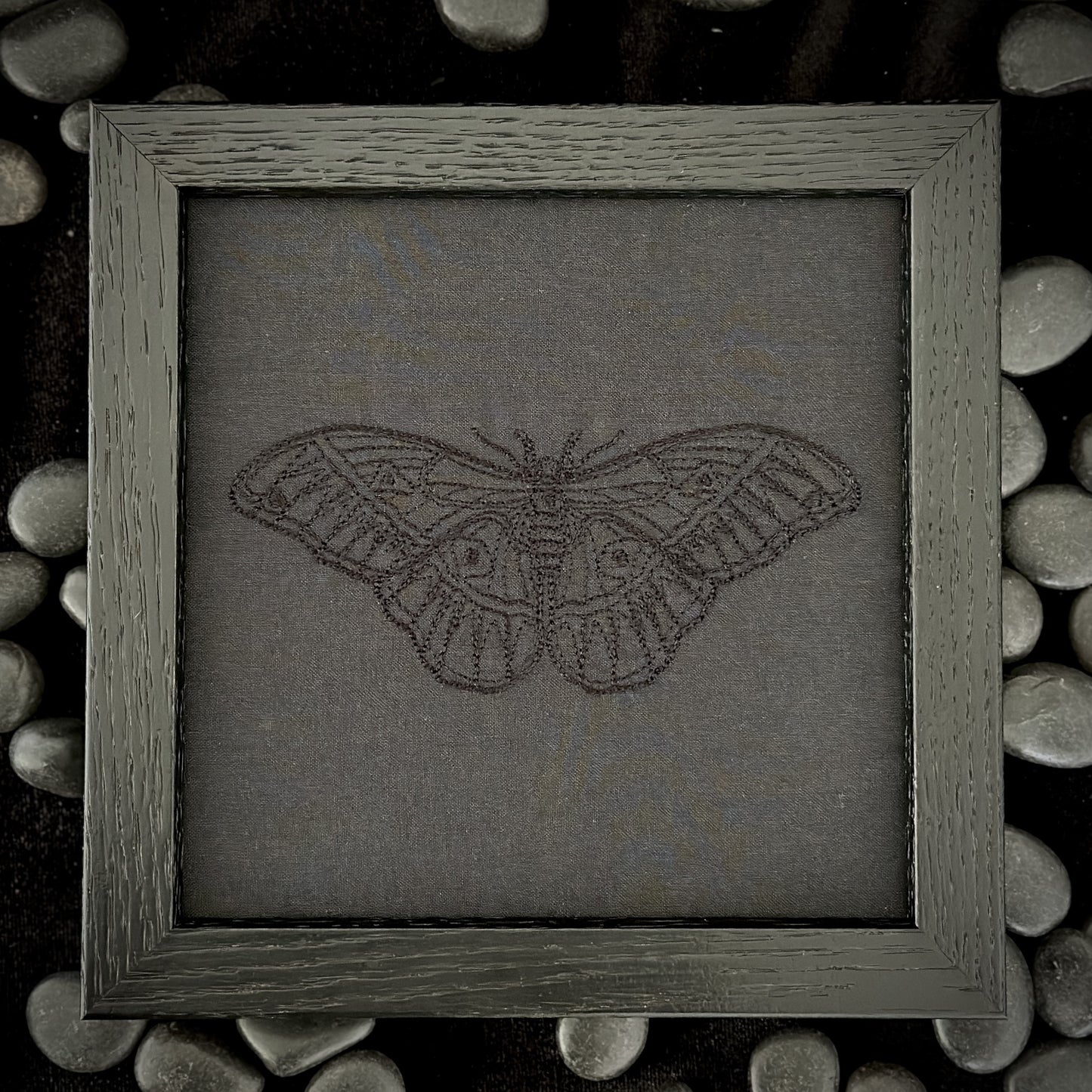 Detailed Moth | 6x6in